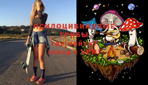 apvp Балахна