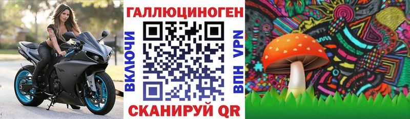 купить наркотик  Шали  Псилоцибиновые грибы GOLDEN TEACHER 